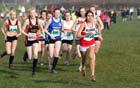 Green start North East Harrier League, Prudhoe, Northumberland.